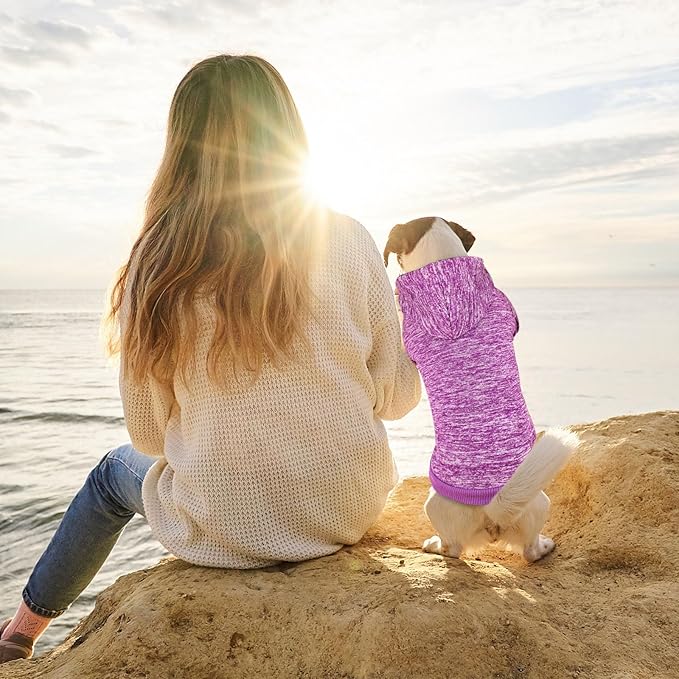 Dog Sweaters for Small Dogs Hoodie Fleece Dog Sweater Soft Clothes Sweatshirt with Pocket Hoodie for Small Dogs Puppy Sweater(Purple&S)