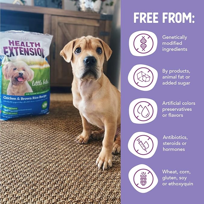 Health Extension Little Bites Dry Dog Food for Toy and Small Breeds, Chicken & Brown Rice Recipe, with Probiotics & Superfoods for Digestion & Coat Health, 30 lb Bag (Pack of 1)