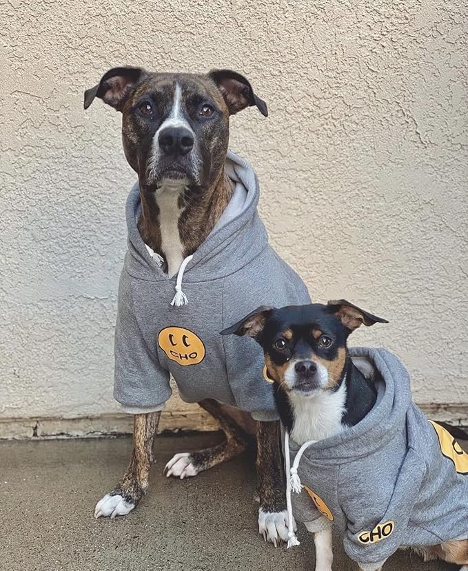 ChoChoCho Smiley Dog Hoodie Stylish Dog Clothes Smiley Face Sweater Cotton Sweatshirt Fashion Outfit for Dogs Cats Puppy Small Medium Large (X-Large, Grey)