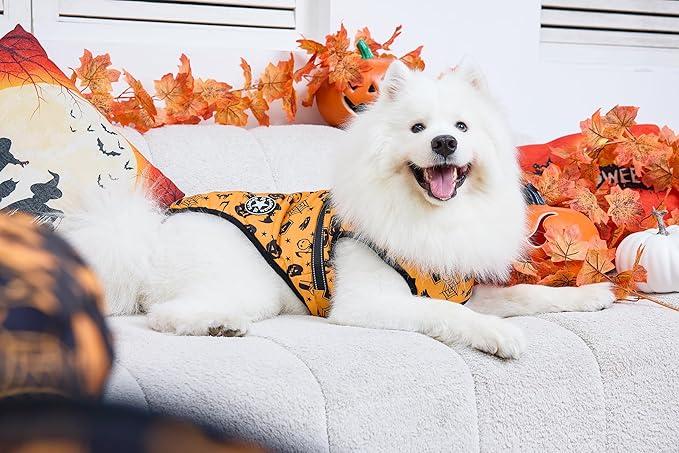 Aiboria Dog Jackets Windproof Outfit Coat Dog Vest Harness Puppy Warm Jacket Halloween Orange L