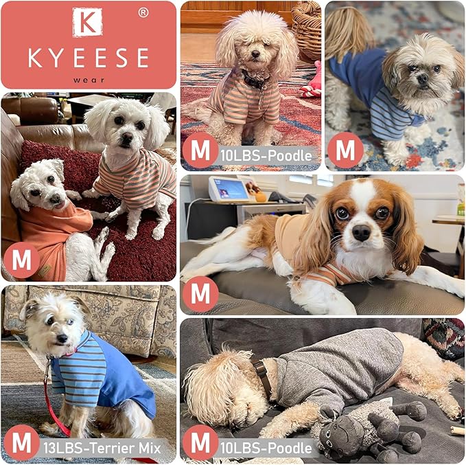 KYEESE 3Pack Dog Sweater Pullover Dog Sweaters for Small Dogs Girl Lightweight Dogs Sweatshirt Comfy Pet Fleece Sweater Cat Sweaters with Sleeves Stretchy Cat Clothes Soft Pet Coat for Cold Weather