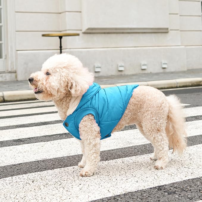 Fleece Lining Extra Warm Dog Hoodie in Winter,Small Dog Jacket Puppy Coats with Hooded,Light Blue XS