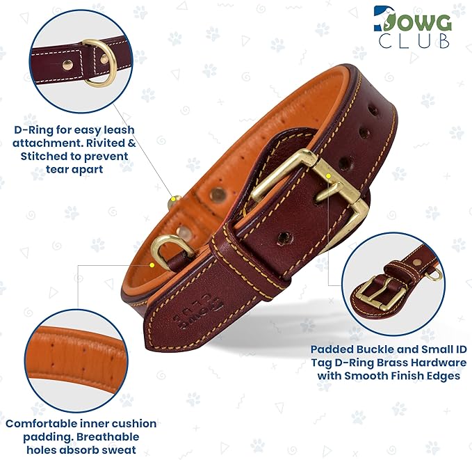 Genuine Leather Dog Collar – Full Grain, Breathable Inner Padding, Padded Buckle – Heavy Duty, Adjustable for Small, Medium, Large & XL Breeds (Dark Brown, M (Fit Neck Size 14.5"-18.5"))