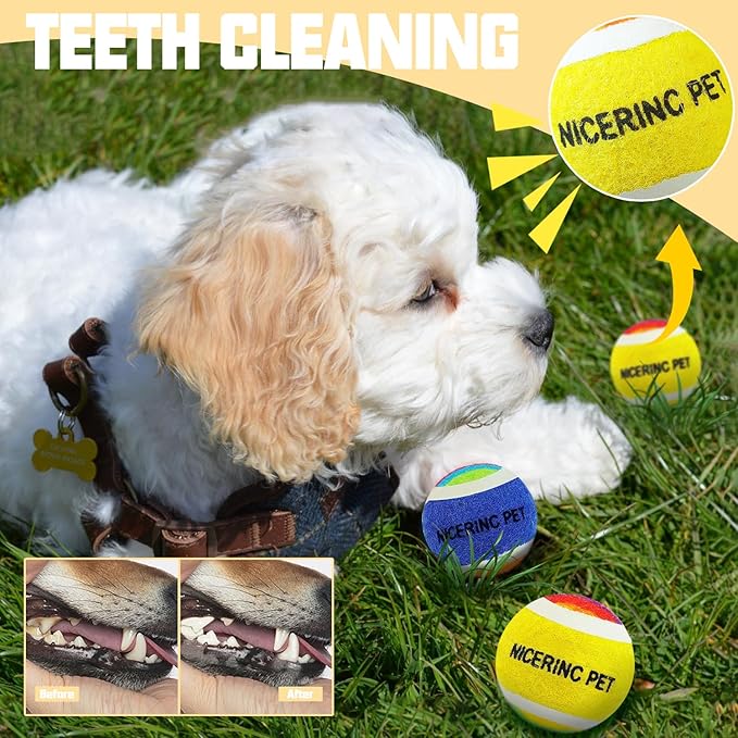 X-Small Dog Tennis Balls Dog Toys Ball 1.5" Pack of 12, Fit Ball Launchers,Christmas Dog Toys,Christmas Dog Gifts