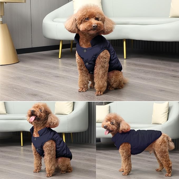 2 Layers Fleece Lined Warm Dog Jacket for Winter Cold Weather,Soft Windproof Medium Dog Coat,Blue XL