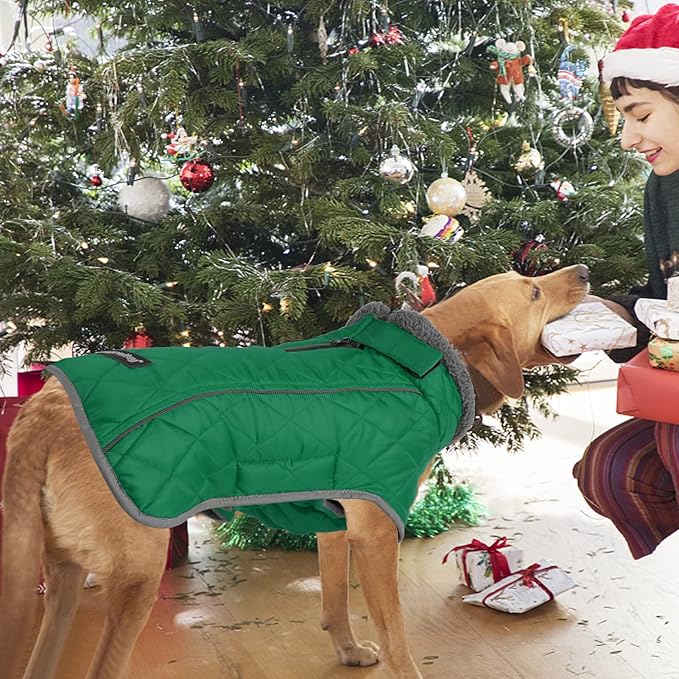 Fragralley Dog Coat Large, Waterproof Dog Jacket with Warm Fleece Lining, Adjustable Reflective Dogs Winter Coat, Turtleneck Pet Coats for Cold Weather (Green XL)