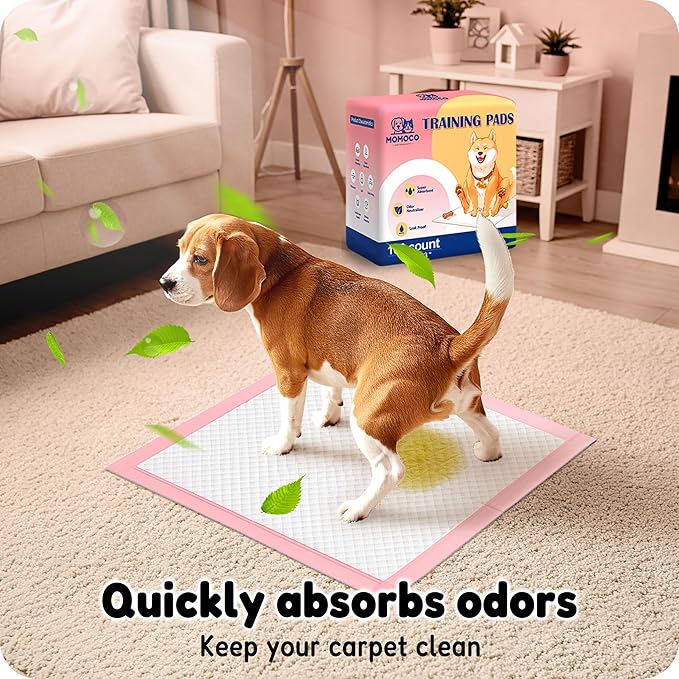 MoMoCo Puppy Pads, 23"x23"-100 Count Dog Pee Pads, Super Absorbent Extra Large Disposable Dogs Training Pads , Leak-Proof, Quick-Drying Dogs Potty Pads for Doggies Puppies