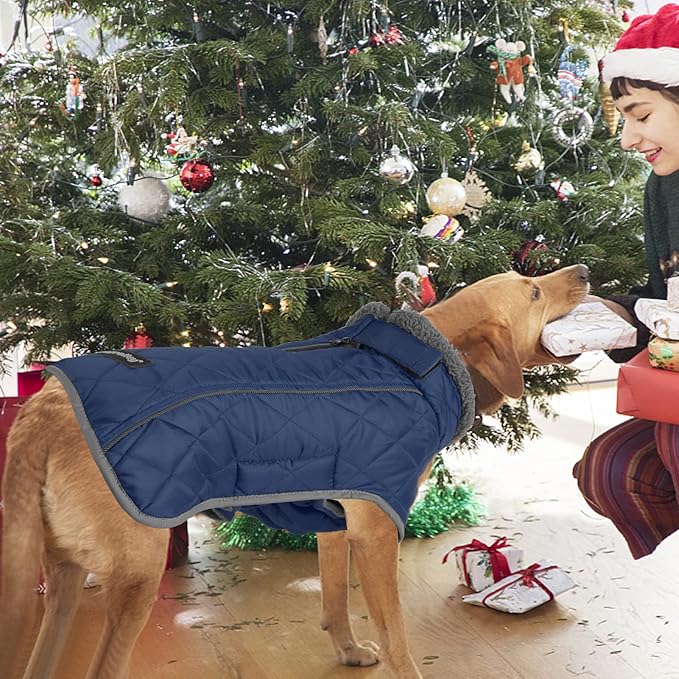 Fragralley Dog Coat Large, Waterproof Dog Jacket with Warm Fleece Lining, Adjustable Reflective Dogs Winter Coat, Turtleneck Pet Coats for Cold Weather (Blue XL)