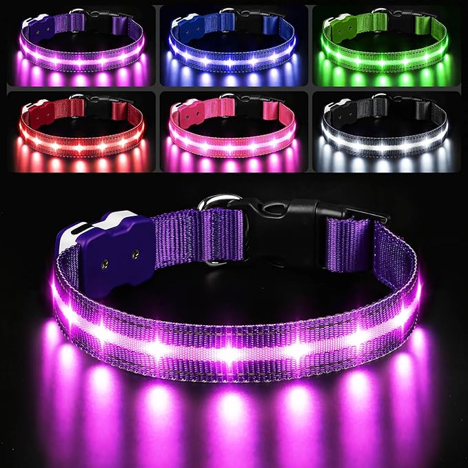 PcEoTllar Light Up Dog Collars, Led Dog Collar, Rechargeable, Night Walking, Waterproof, Glow in The Dark Dog Collars Light for Large Small Medium Dogs, Purple m