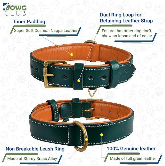 Genuine Leather Dog Collar | Full Grain, Heavy Duty, Comfortable, Padded, Strong | Best for Pups, Small, Medium, Large & XL Breeds (X-Large (Fit Neck Size 22"-26"), Teal Green)