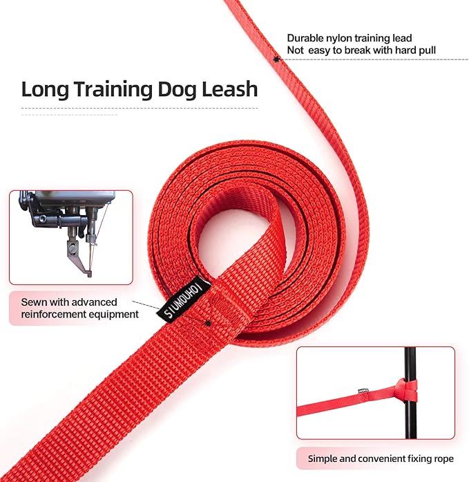 Dog/Puppy Obedience Recall Training Agility Lead - 15ft 20ft 30ft 40ft 50ft Training Leash - Great for Training, Play, Camping, or Backyard（Red，40 Feet）