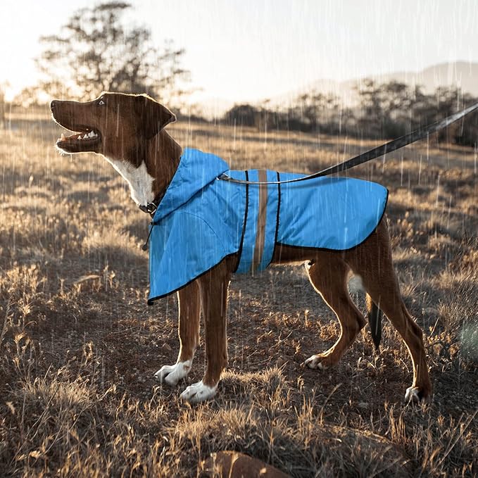 Weesiber Dog Raincoat, Waterproof Dog Rain Jacket with Leash Hole, Reflective Puppy Rainwear Hooded Pet Poncho Slicker for Walking (S, Blue)