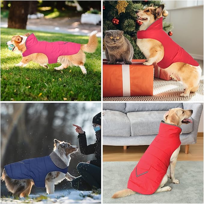 Dog Coat, Waterproof Dog Winter Jacket with Pocket, Reflective Adjustable Pet Snow Vest, Warm Cozy Fleece Sweater for Small Medium Extra Large Dogs - Red, S