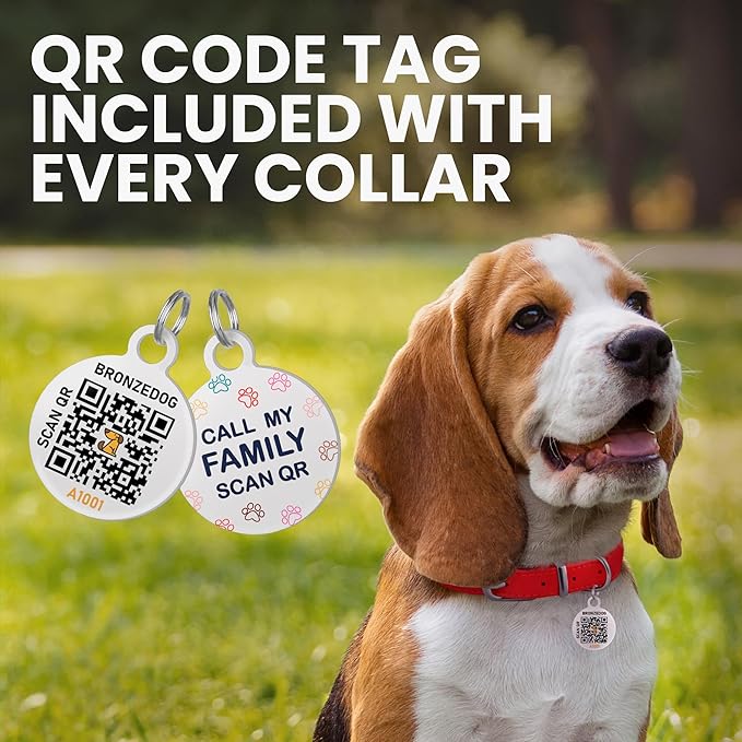 BronzeDog Rolled Leather Dog Collar with QR ID Tag, Adjustable Soft Round Collars for Small Medium Large Dogs Puppy (11" - 14 1/2" Neck Size, Turquoise)