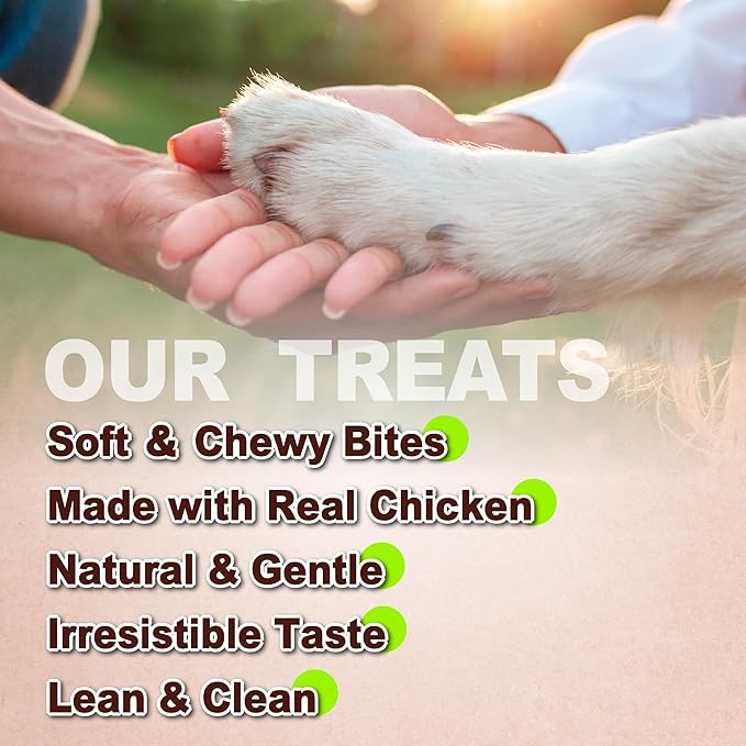 Afreschi Natural Soft Chicken Dental Chews with Chlorophyll 24 oz, Dog Treats, All Natural, Hypoallergenic & Grain-Free, High-Protein, Healthy & Easily Digestible, Soft Texture