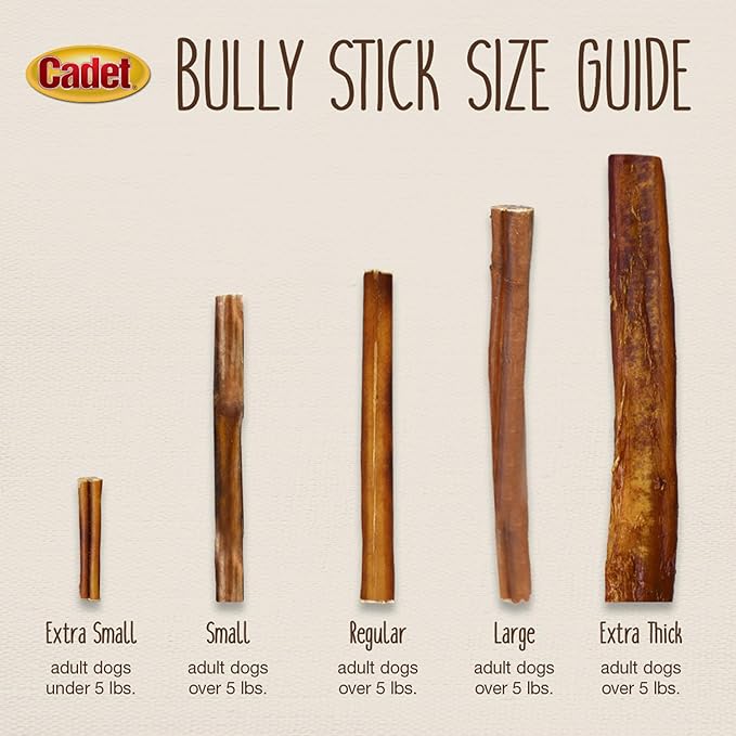 Cadet Bully Sticks for Small Dogs – All-Natural Beef Pizzle, High Protein, Low Fat, Long-Lasting, Grain & Rawhide-Free Dog Chews for Aggressive Chewers, Small (25 Count)