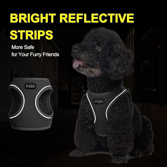 Fida Comfy Dog Harness with Leash, Soft Puppy Vest Escape Proof, Breathable Lightweight Soft Mesh, Adjustable Reflective Step-in Harness for Cat & Extra-Small Pet (XS, Black)