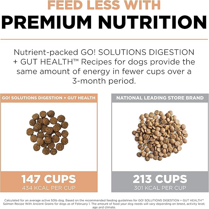 Go! Solutions Digestion + Gut Health, Dry Dog Food, Salmon Recipe with Ancient Grains, 12 lb Bag