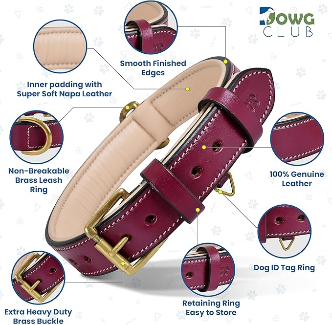 Genuine Leather Dog Collar | Full Grain, Heavy Duty, Comfortable, Padded, Strong | Best for Pups, Small, Medium, Large & XL Breeds (X-Large (Fit Neck Size 22"-26"), Dark Pink)