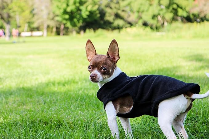 JACKO & CO - Fleece Vest Dog Sweater with Leash Ring - Soft, Warm & Lightweight Pullover Coat for Small & Medium Dogs, Puppies & Cats - Cozy Fall/Winter/Spring Pet Jacket (Black, Medium 6-10lbs)