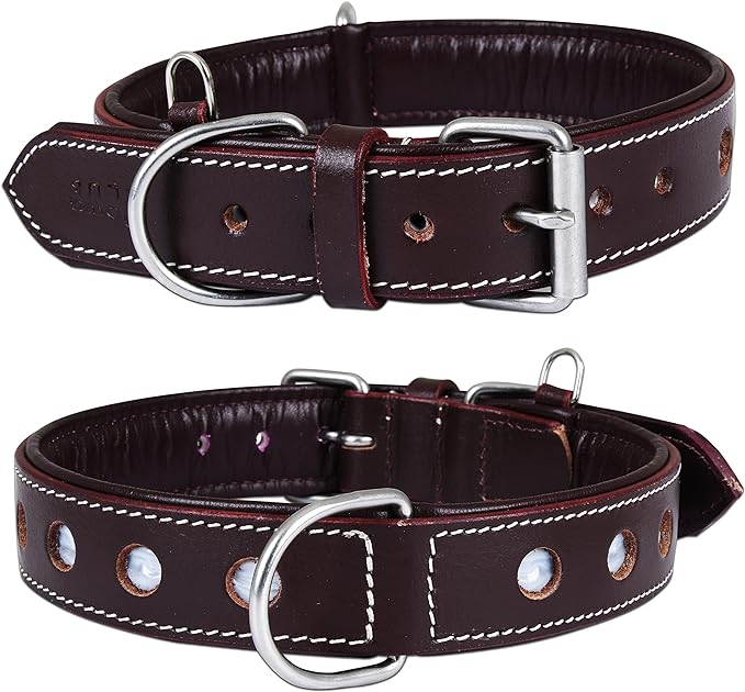 | Genuine Leather Dog Collar | Full Grain, Heavy Duty | Comfortable, Padded, Strong | Best for Pups, Small, Medium, Large & XL Breeds (Large (Fit Neck Size 18.5"-22.5"), Garnet)