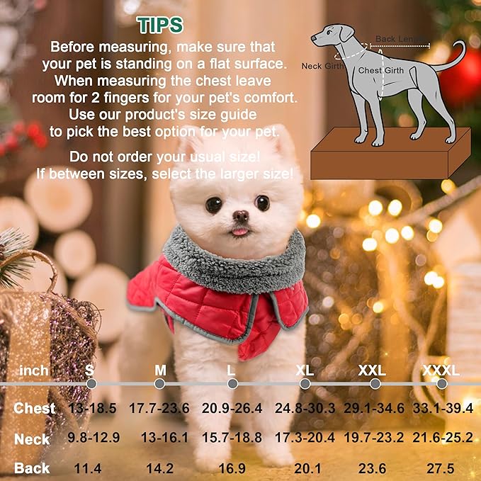 Fragralley Dog Winter Coat, Waterproof Windproof Reflective Fleece Jacket with Harness Hole, Warm Snow Vest for Small Medium Large Dogs, Ideal Gifts