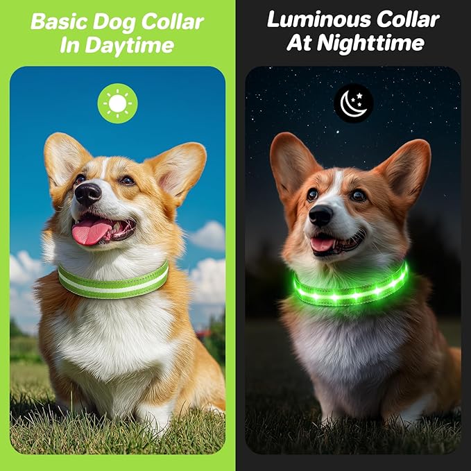 PcEoTllar Light Up Dog Collars, Led Dog Collar, Rechargeable, Night Walking, Waterproof, Glow in The Dark Dog Collars Light for Large Small Medium Dogs, Green l
