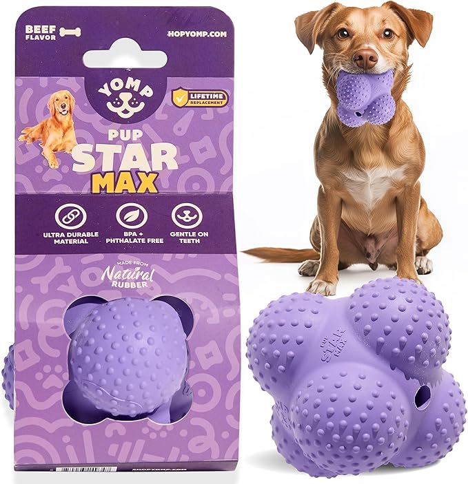Yomp PupStar MAX Dog Toy – Star-Shaped, Bouncing Ball with Nubbins for Dental Health, Dishwasher Safe