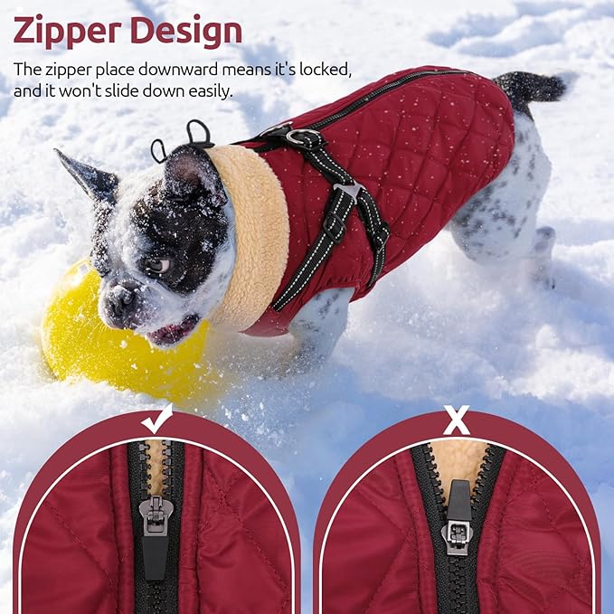 Queenmore Dog Coat, Dog Coats for Small Dogs, Doggy Winter Jacket with Zipper On Back, Waterproof Pet Jacket with Harness Built in, Pet Puffer Coat for Bichon, Schnauzer, Yorkie, Burgundy S