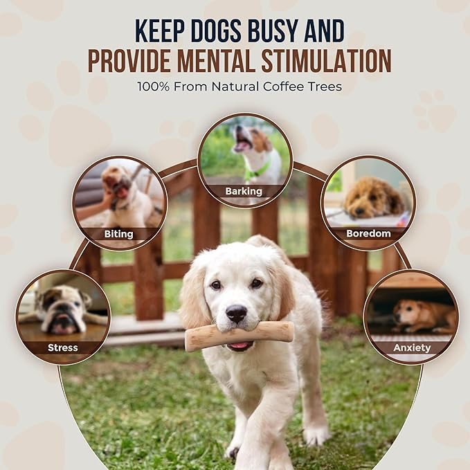 Coffee Wood Dog Chew Sticks 6.5" & Dog Rope Toys for Puppy - 100% Natural Puppy Chew for Teething, Organic Wood Stick - Size XS
