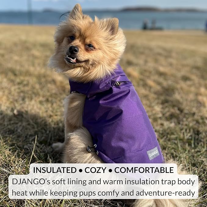 DJANGO Reversible Puffer Dog Coat – Warm Winter Dog Jacket & Water-Repellent Insulated Dog Coat w/Harness Hole, Windproof, Adjustable Fit for Small & Medium Dogs, Dachshunds – Violet Purple, X-Small