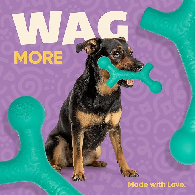 Yomp BallBone MAX: All-Natural Rubber Dog Toy, Nontoxic, Safe for Pet Play (Teal)