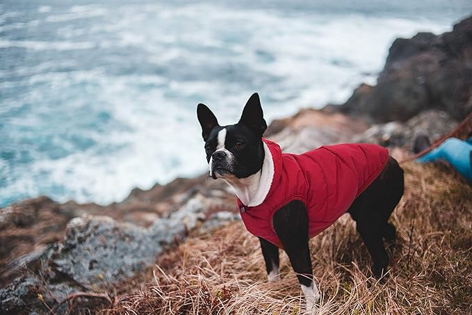 Fleece Hoodie, Windproof Waterproof Dog Coat, Winter Warm Jacket, Cold Weather Pet Apparel Clothes Vest for Small Medium Large Dogs (S, Red)