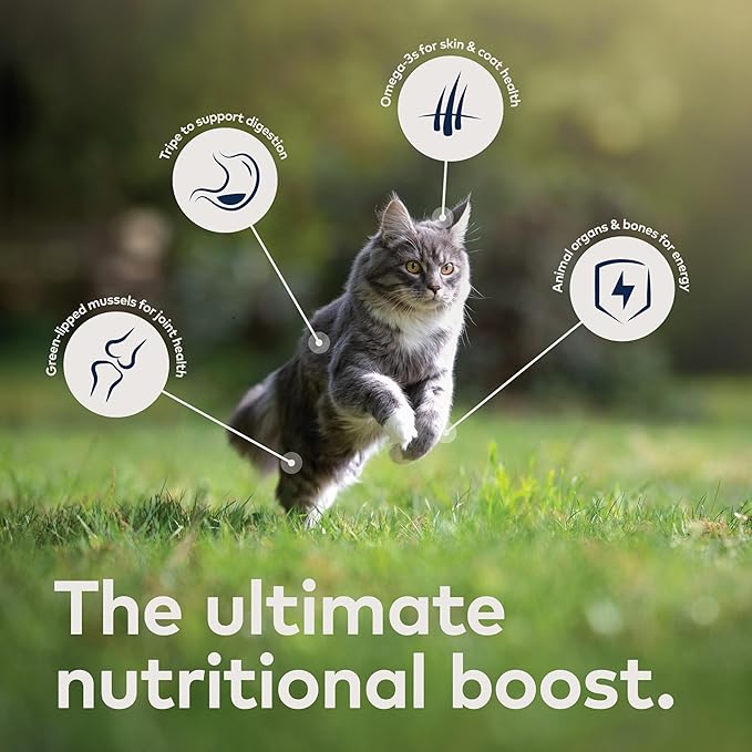 ZIWI Peak Wet Cat Food – All Natural, High Protein, Grain Free, Limited Ingredient, with Superfoods (Lamb, Case of 6, 3oz Cans)