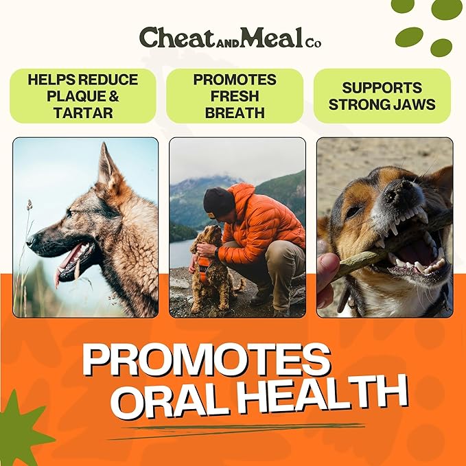 Bully Sticks for Medium Dogs, (6 Inch, 10 Count), Dog Chew Toy, Long-Lasting, 100% Grass-Fed Beef Pizzle for Medium and Large Dogs - Rawhide-Free