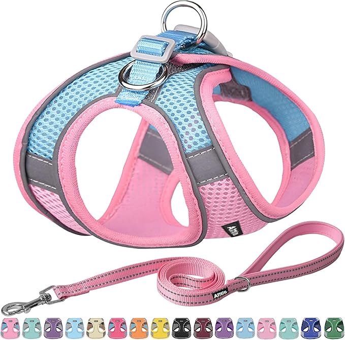 AIITLE Easy Walk Dog Harness and Leash Set - Pet Supply No Pull, Step in Adjustable Pet Harnesses with Padded Vest for Summer, No Choke Over, Easy to Put on Medium Dogs Pink L