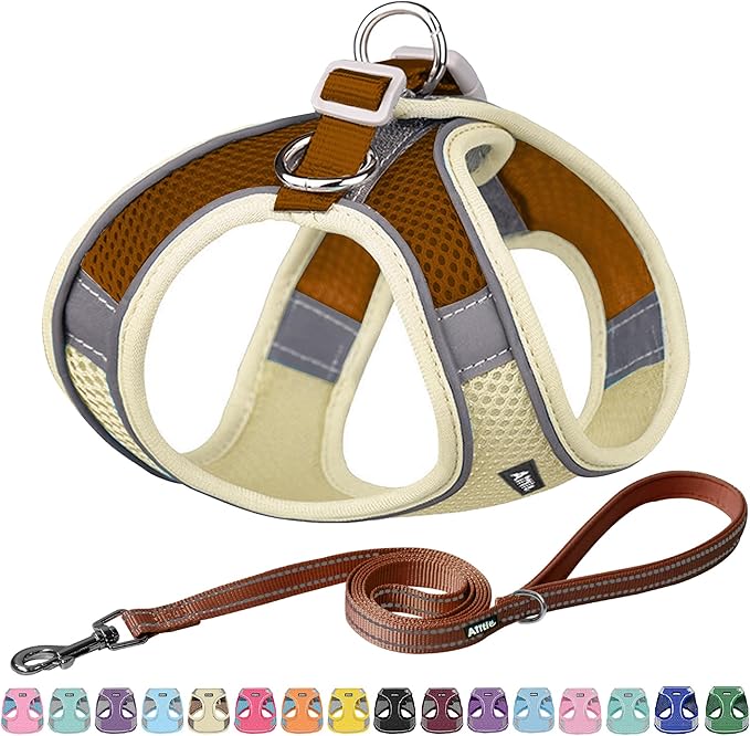 AIITLE Small Harness for Puppy with A Leash - Summer Dog Vest Harness with Super Breathable Mesh, Reflective No-Pull Pet Harness for Outdoor Walking, Camping for Small Dogs, Cats Beige XXS