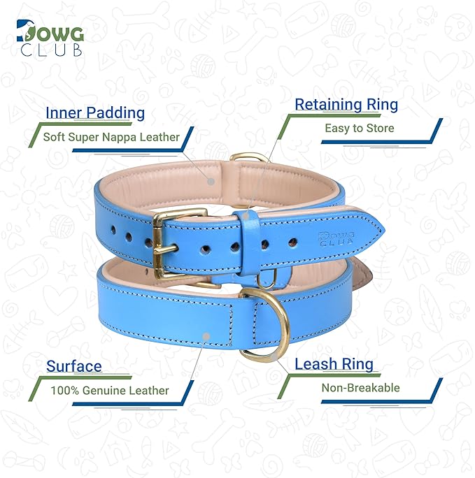 Genuine Leather Dog Collar | Full Grain, Heavy Duty, Comfortable, Padded, Strong | Best for Pups, Small, Medium, Large & XL Breeds (Small (Fit Neck Size 11.5"-14.5"), Blue)