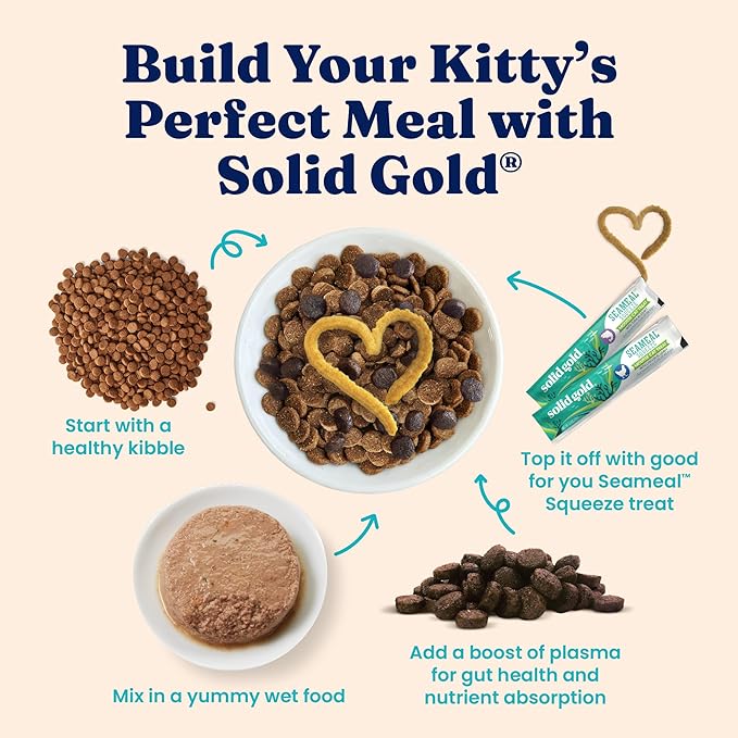 Solid Gold Flavorful Feast Wet Cat Food - Pate - Real Chicken - Canned Cat Food, 12 Pack