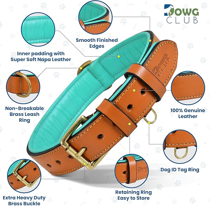 Genuine Leather Dog Collar | Full Grain, Heavy Duty, Comfortable, Padded, Strong | Best for Pups, Small, Medium, Large & XL Breeds (Large (Fit Neck Size 18.5"-22.5"), Tan)