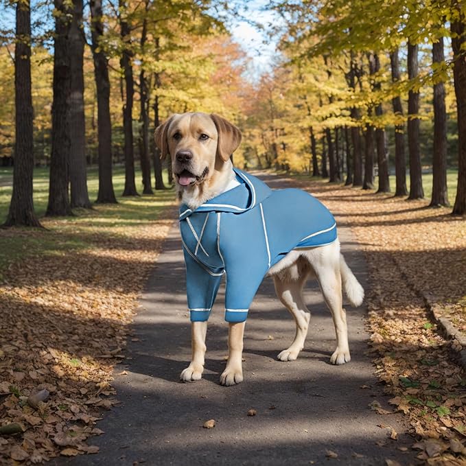 Basic Dog Hoodie Sweatshirts, Pet Clothes Hoodies Sweater with Hat and Leash Hole, Soft Cotton Outfit Coat for Small Medium Large Dogs, Light Blue (Large)