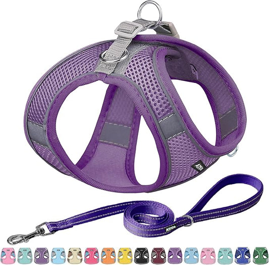 AIITLE Escape Proof Dog Harness - Step in Adjustable Dog Harness No Choke Over with Breathable Mesh and Quick-Release Buckle for Summer- Outdoor Walking, Camping for Medium Dogs Pure Purple XL