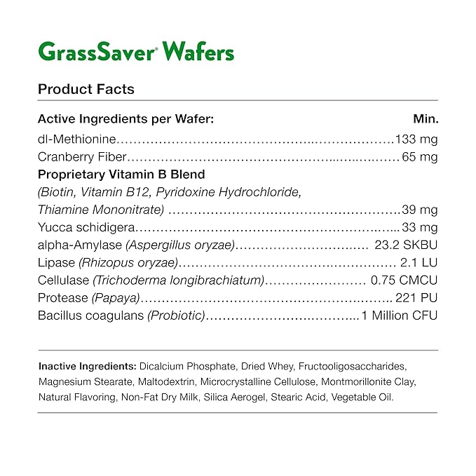 NaturVet – GrassSaver Wafers for Dogs Plus Enzymes – 300 Wafers – Healthy Supplement to Help Rid Your Lawn of Yellow Spots – Synergistic Combination of B-Complex Vitamins & Amino Acids