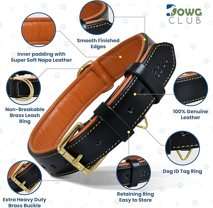Genuine Leather Dog Collar | Full Grain, Heavy Duty, Comfortable, Padded, Strong | Best for Pups, Small, Medium, Large & XL Breeds (X-Large (Fit Neck Size 22"-26"), Black)