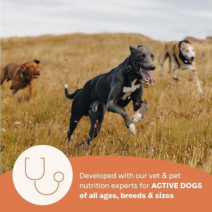 CANIDAE All Life Stages High Protein Dry Dog Food, Multi-Protein Recipe, 4 lbs. (Pack of 2)