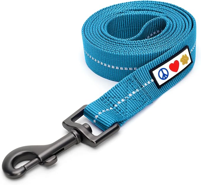 Pawtitas 6 FT Recycled Dog Leash with Reflective Stitched Thread Stitched on Side| Small Reflective Dog Leash Made from Plastic Bottles Collected from Oceans – Teal 6 ft Dog Leash