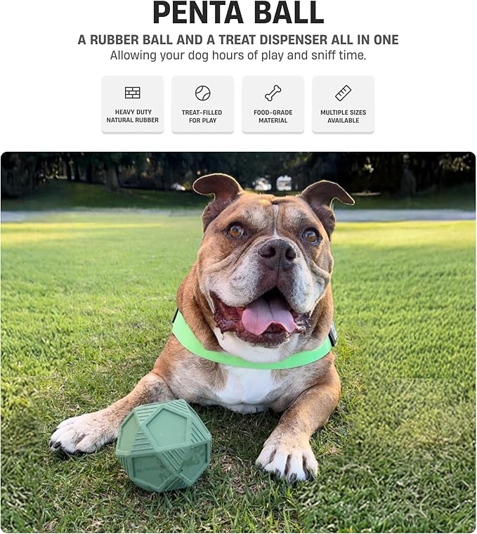 Dog Friendly Co. Penta Ball | Dog Treat Ball | Durable Treat Dispensing Toy | Heavy-Duty Silicone | Mentally & Physically Stimulating Play for All Breeds | Dark Green | Medium