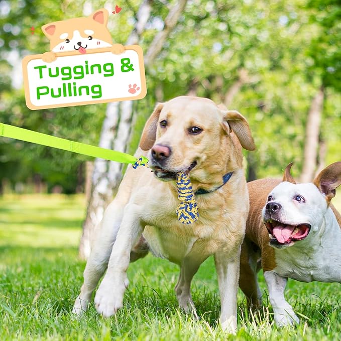 XiaZ Tug of War Dog Toy, Interactive Dogs Toy Bungee Hanging Tether with 2 Chew Rope Toys, Heavy Duty Puppy Outdoor Activity Aggressive Chewers Best Small to Large Boredom Exercise and Play (Green)