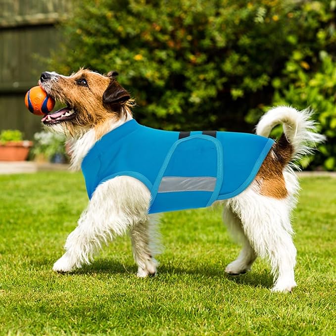 MIGOHI Breathable Dog Anxiety Calming Vest,Dog Firework Anxiety Relief Vest,Dogs Stress and Anxiety Relief Coat,Anxiety Vest for Large Dogs,Blue,XL