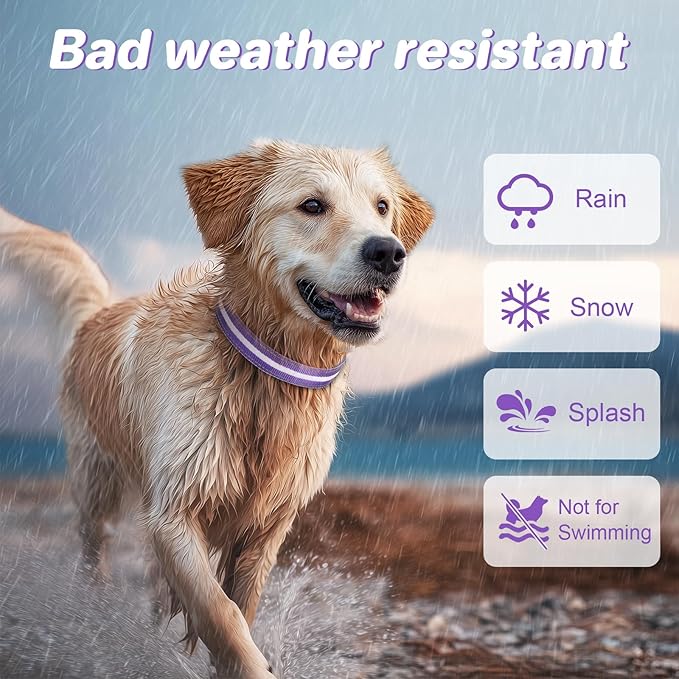 PcEoTllar Light Up Dog Collars, Led Dog Collar, Rechargeable, Night Walking, Waterproof, Glow in The Dark Dog Collars Light for Large Small Medium Dogs, Purple l